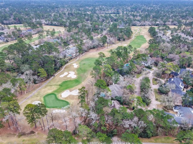 58 Bridgeberry Place, The Woodlands, TX 77381