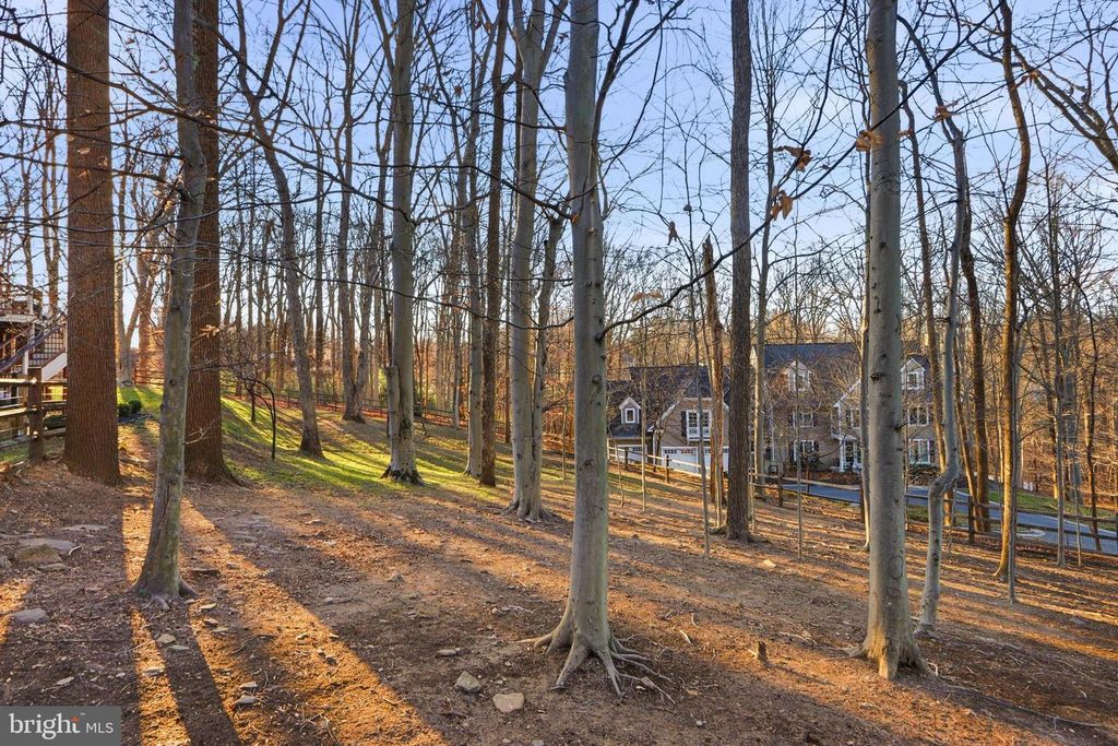 Image 16 of property listing at 2004 DIANE LN, Ellicott City, MD 21042