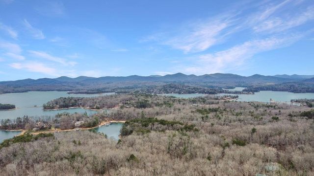 45 Wilderness Trail, Blue Ridge, GA 30513