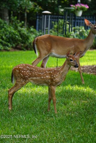 7757 BURNT OAK Trail, Jacksonville, FL 32256