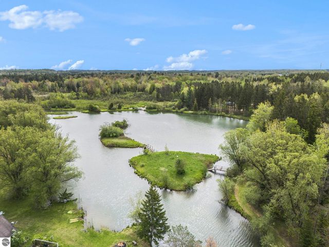 6690 N 39 Road, Manton, MI 49663