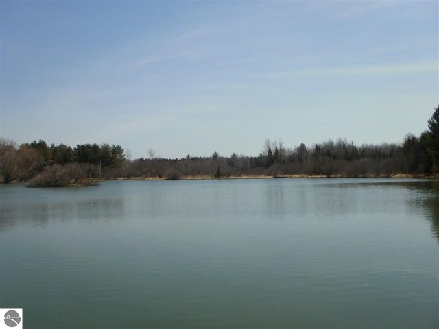 6690 N 39 Road, Manton, MI 49663