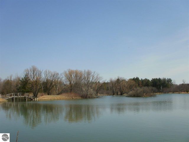 6690 N 39 Road, Manton, MI 49663