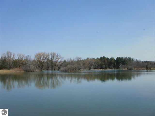 6690 N 39 Road, Manton, MI 49663