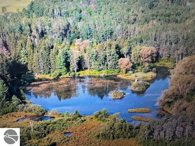 6690 N 39 Road, Manton, MI 49663