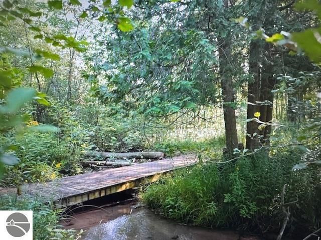 6690 N 39 Road, Manton, MI 49663