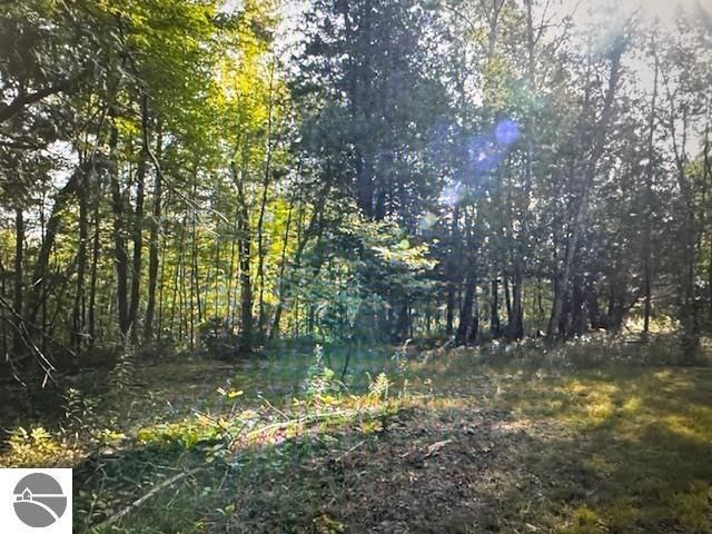 6690 N 39 Road, Manton, MI 49663