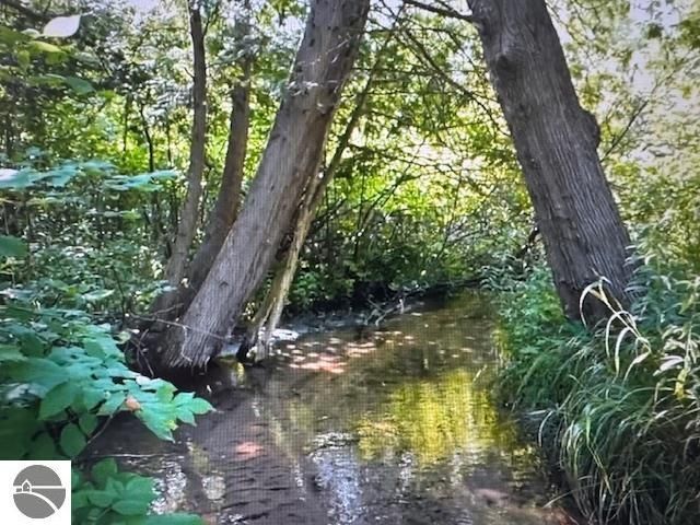 6690 N 39 Road, Manton, MI 49663