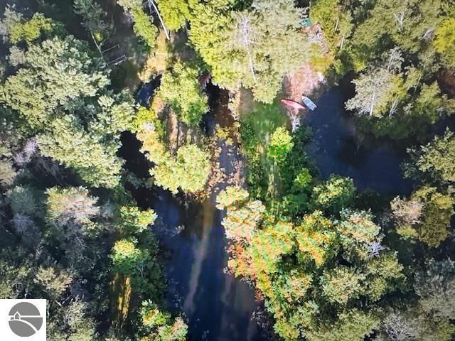 6690 N 39 Road, Manton, MI 49663