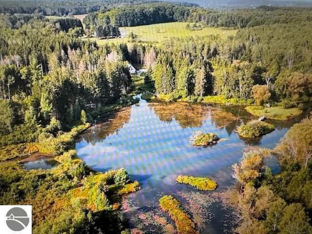 6690 N 39 Road, Manton, MI 49663