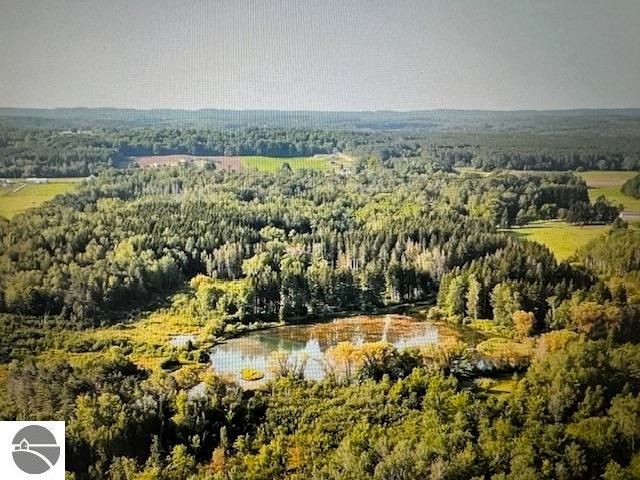 6690 N 39 Road, Manton, MI 49663