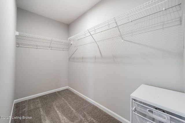 8425 Splendid Point, Louisville, KY 40229