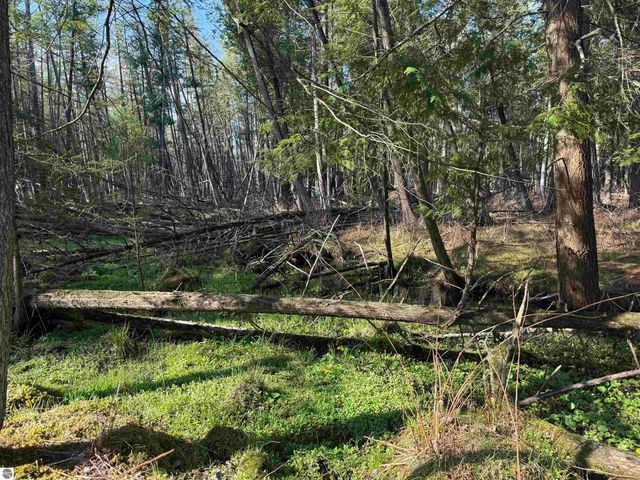 4573 N Able Street, Irons, MI 49644