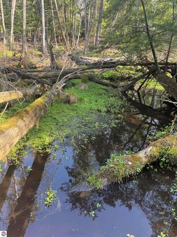 4573 N Able Street, Irons, MI 49644