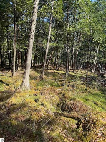 4573 N Able Street, Irons, MI 49644