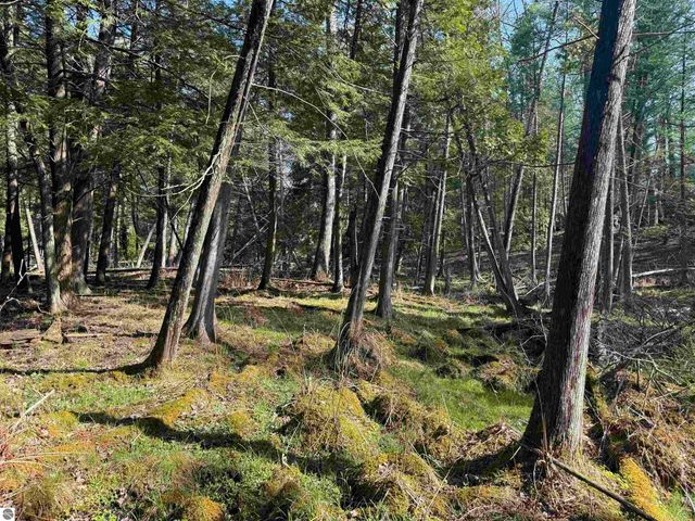 4573 N Able Street, Irons, MI 49644