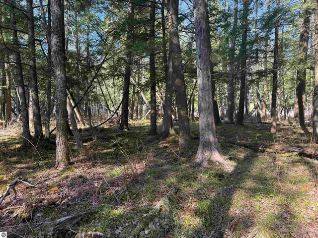 4573 N Able Street, Irons, MI 49644