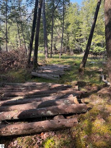 4573 N Able Street, Irons, MI 49644