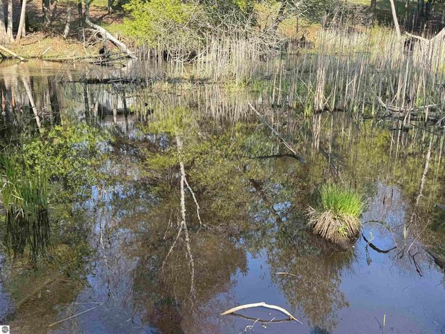 4573 N Able Street, Irons, MI 49644