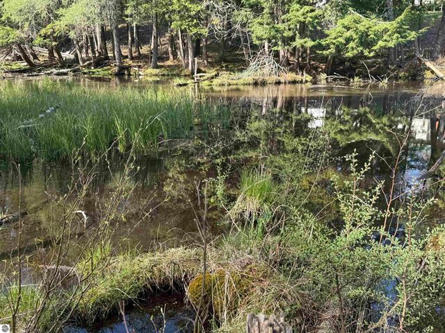 4573 N Able Street, Irons, MI 49644