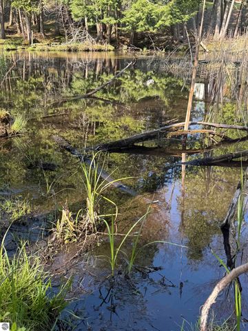 4573 N Able Street, Irons, MI 49644