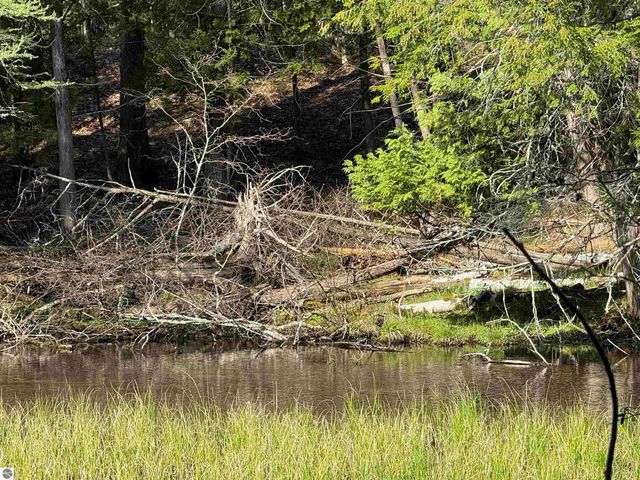 4573 N Able Street, Irons, MI 49644