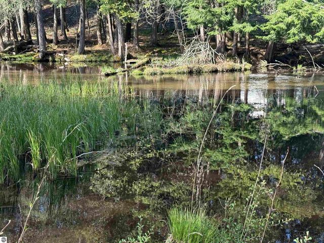 4573 N Able Street, Irons, MI 49644