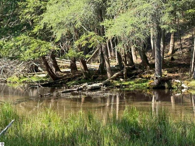 4573 N Able Street, Irons, MI 49644