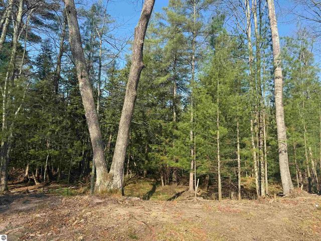 4573 N Able Street, Irons, MI 49644