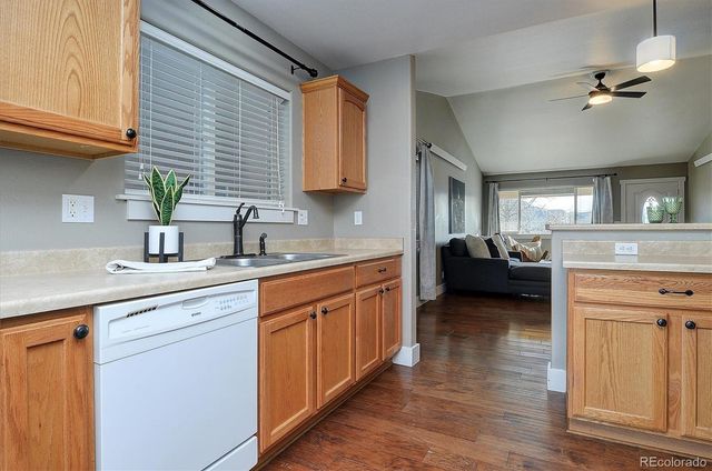 170 Larissa Lane C, Buena Vista, CO 81211