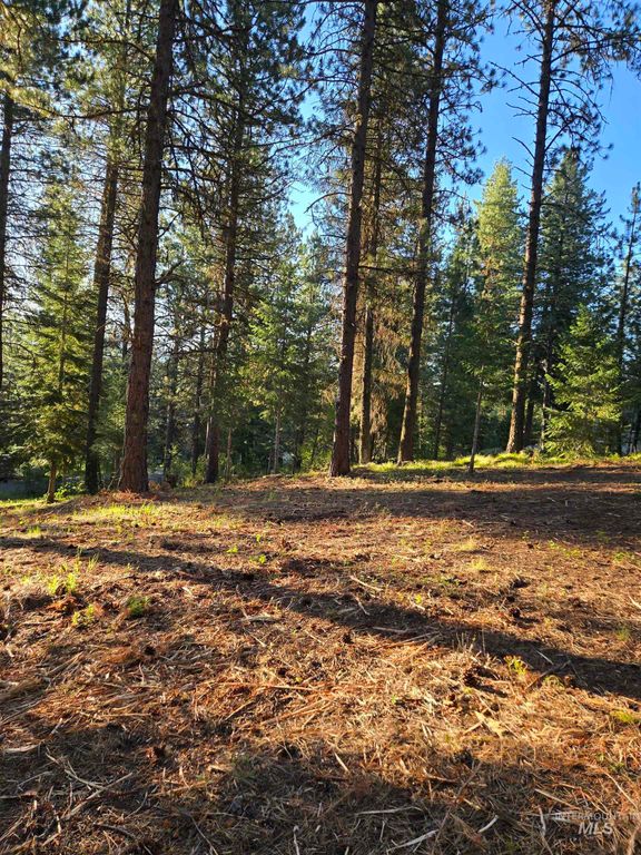 TBD Sorrel, New Meadows, ID 83654 photo 12