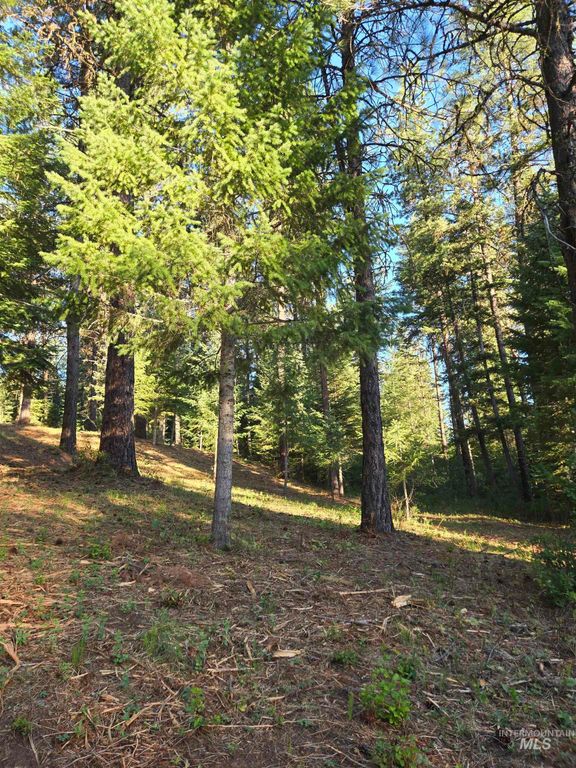 TBD Sorrel, New Meadows, ID 83654 photo 2