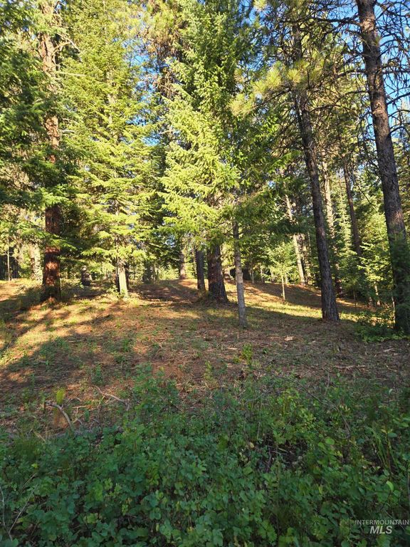 TBD Sorrel, New Meadows, ID 83654 photo 5