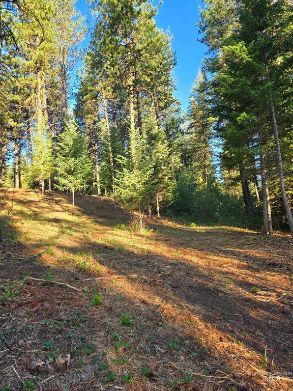 TBD Sorrel, New Meadows, ID 83654 photo 6