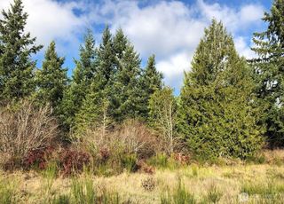 14623 Lindsay Loop Se, Yelm, WA 98597