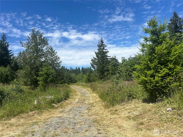 0 Russian Hill Lane SE, Rainier, WA 98576