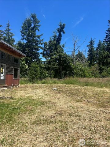 0 Russian Hill Lane SE, Rainier, WA 98576