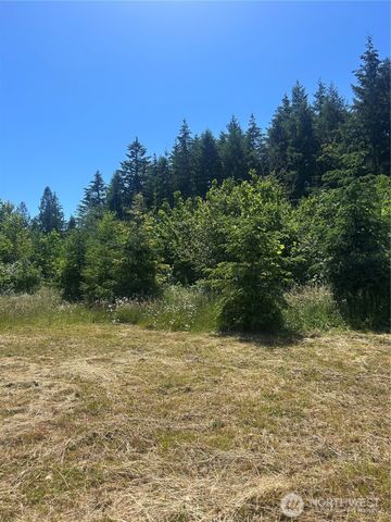 0 Russian Hill Lane SE, Rainier, WA 98576