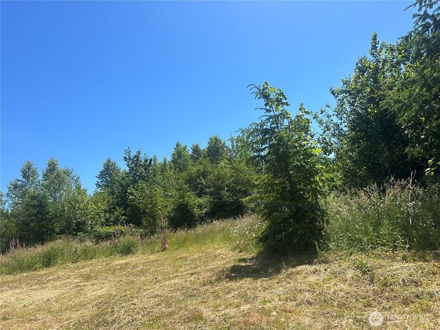 0 Russian Hill Lane SE, Rainier, WA 98576