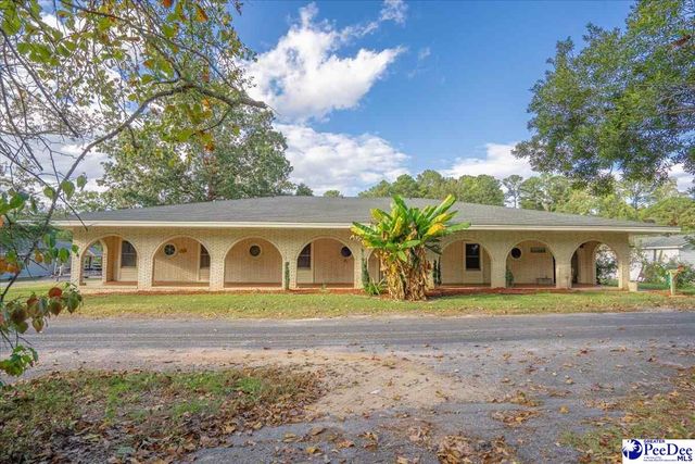 138 Ski Cove Lane, Hartsville, SC 29550