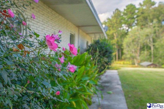 138 Ski Cove Lane, Hartsville, SC 29550