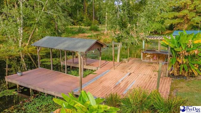 138 Ski Cove Lane, Hartsville, SC 29550