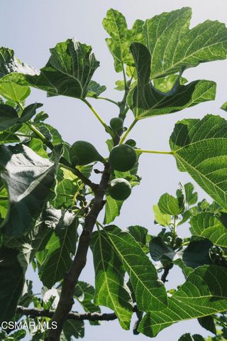 984 Harris Court, Thousand Oaks, CA 91362