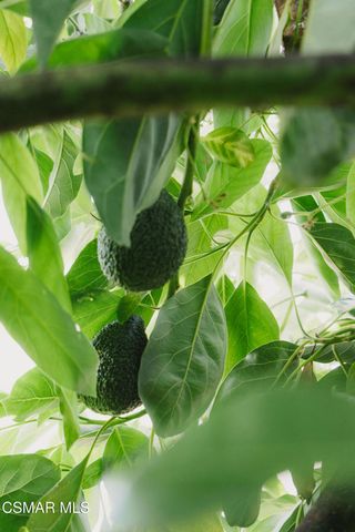 984 Harris Court, Thousand Oaks, CA 91362