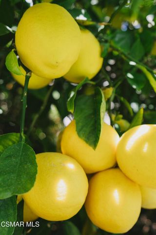 984 Harris Court, Thousand Oaks, CA 91362