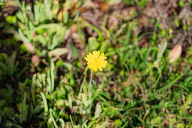 10813 Fm 773, Ben Wheeler, TX 75754