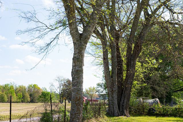 10813 Fm 773, Ben Wheeler, TX 75754