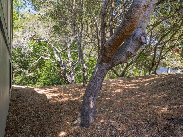 3410 Kenilworth Lane, Santa Cruz, CA 95065