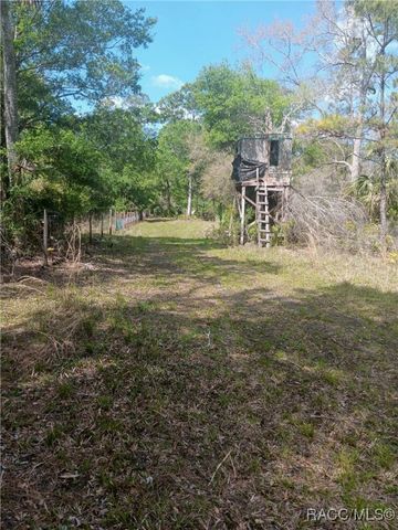 3250 SE Robinson Road, Inglis, FL 34449