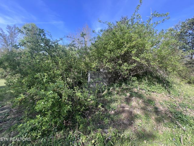 554 Mary Cromwell Rd, Jamestown, TN 38556